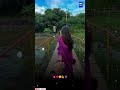 Nai Bhuli Jibure dhan New Sambalpuri Song status video #_shorts #video