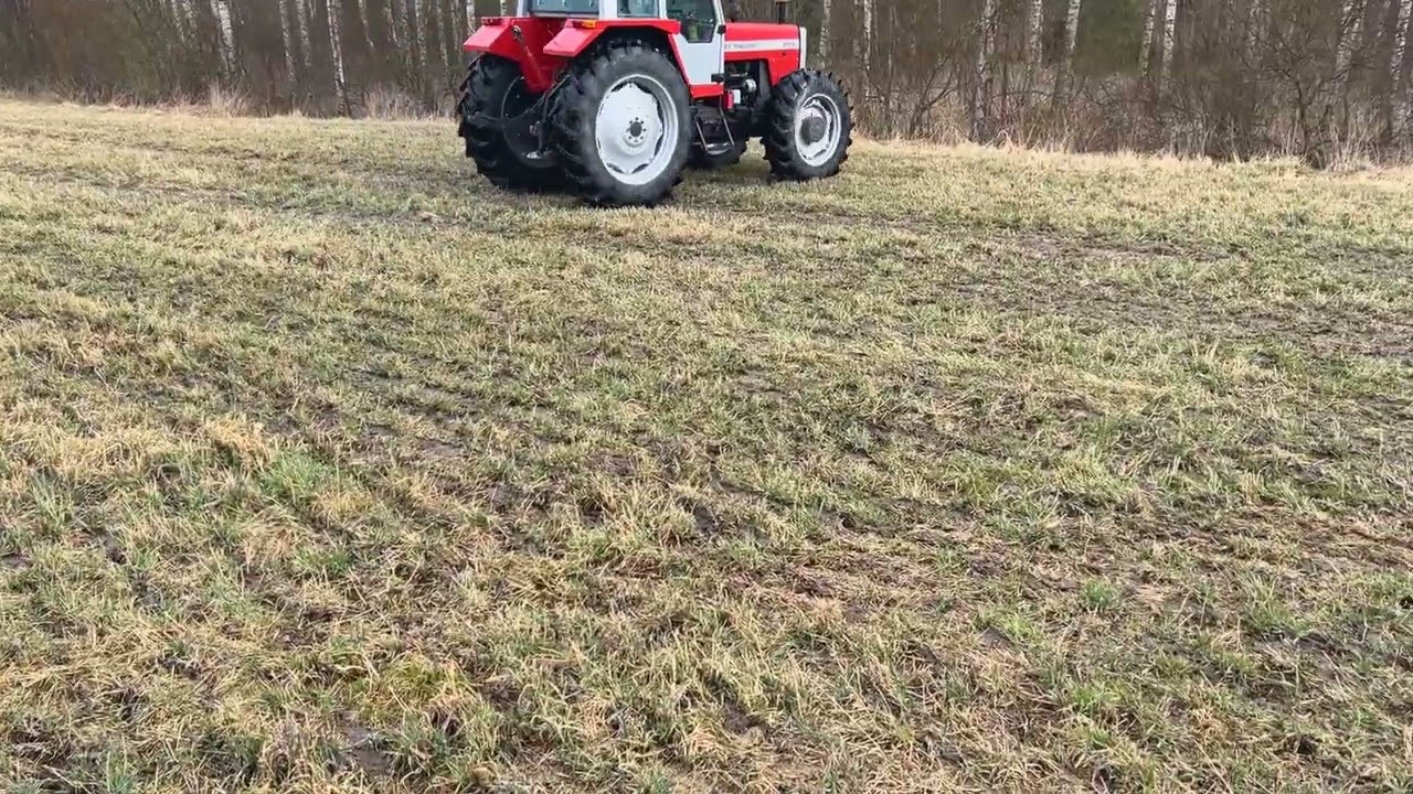 Traktor MASSEY FERGUSON MF 699 4