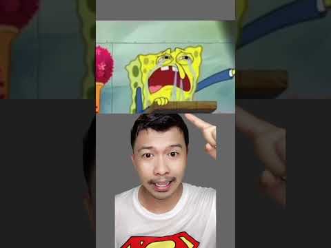 Video: Adakah plankton membunuh encik krab?