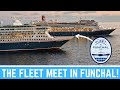 Fred Olsen's Fleet in Funchal