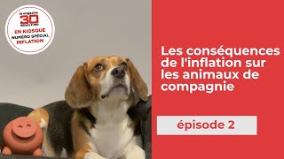 Les conséquences de l'inflation sur les animaux de compagnie - Épisode 2