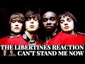 The Libertines Reaction - Can't Stand Me Now!