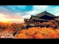 Autumn Light Piano - Ambient Easy Listening - Relaxing Elevator Music for Sleep, Stress Relief