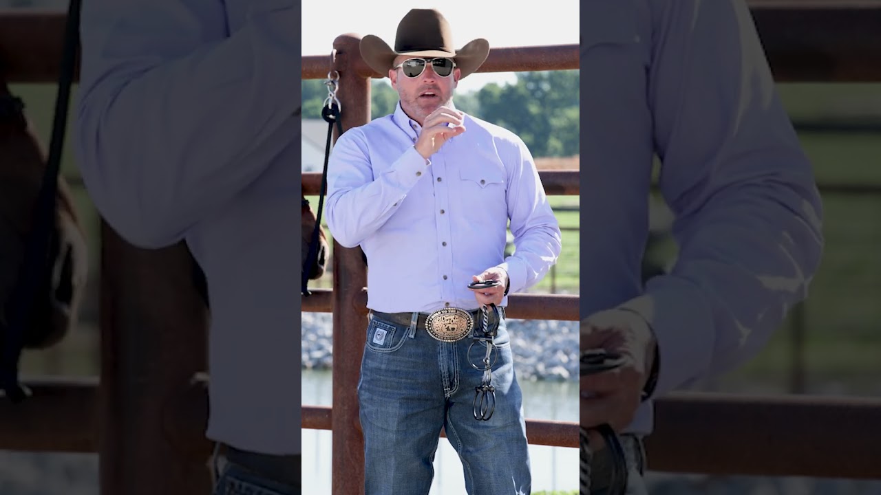 Why You Should Use a Snaffle Bit to Train Your Horse