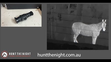 A look at the all new Night Tech MS42R with ben from huntthenight.com.au