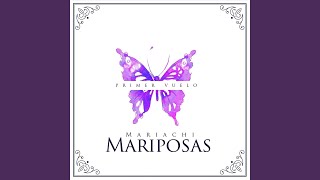 Video thumbnail of "Mariachi Mariposas - Coplas Con Falsete"