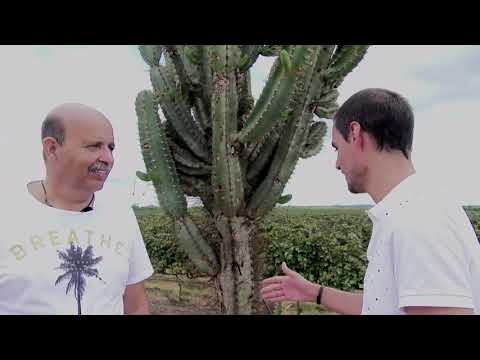 Visita a Vinícola da Rio Sol em Pernambuco