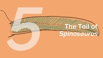 Essien the Spinosaurus 5: The Tail | Learn to Draw Dinosaurs with ZHAO Chuang
