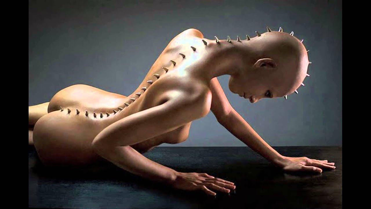 how the spine sounds: michael zollna