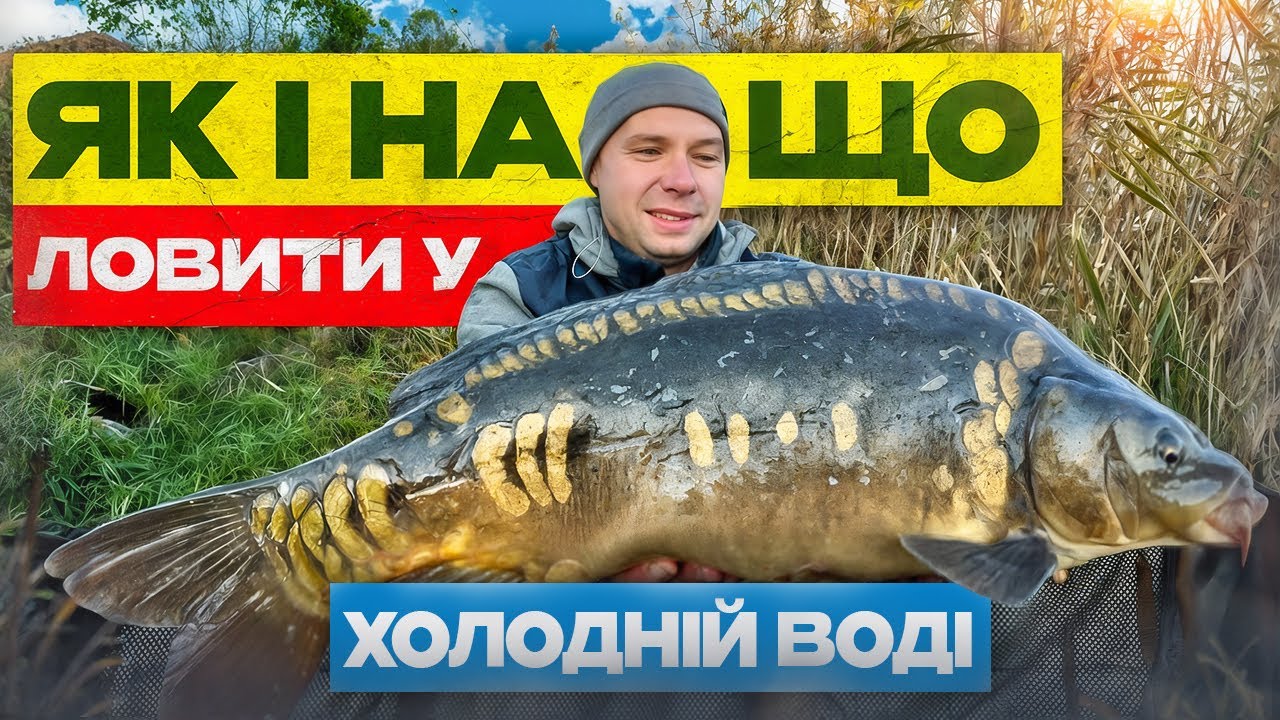 Ловля коропа у холодній воді. Змагання на озері Трофейна Долина