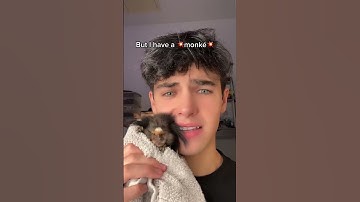 he’s literally so cute 🥺🦧 #kylethomas #shorts