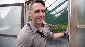 UNTAMED SCIENCE: How to Create a Butterfly Garden