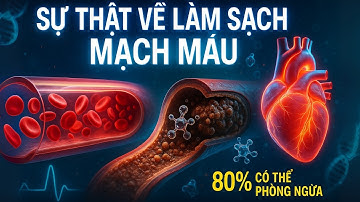LÀM SẠCH MẠCH MÁU - 4 TRỤ CỘT KHOA HỌC BẢO VỆ MẠCH MÁU