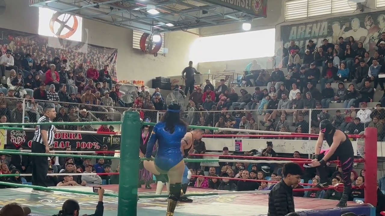 La Dinastía Zarzy Swetty Lady Zarzy Zarzy Tiger 🆚Frutero Del Mercado 3 Frutero Del Mercado 2 Gacela 