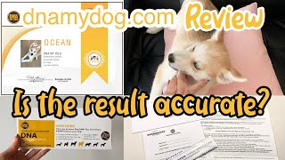 dnamydog.com Review and Unexpected Result! DNA My Dog Breed Identification Test