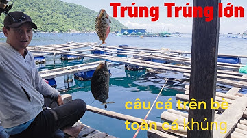 Câu cá biển trên bè, cùng em gái bắt được toàn cá dò, liệt khủng. 