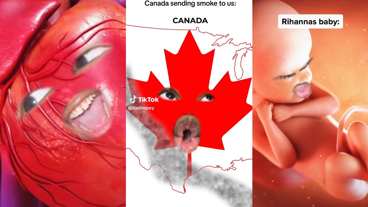 *1+ HOUR* Dimpey6 Funny Shorts Videos 2024 | It'sdimpey New Videos Compilation