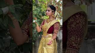 Manasellam Serial Nandhini Bridal Look Parameshwari Reddy Zee Tamil