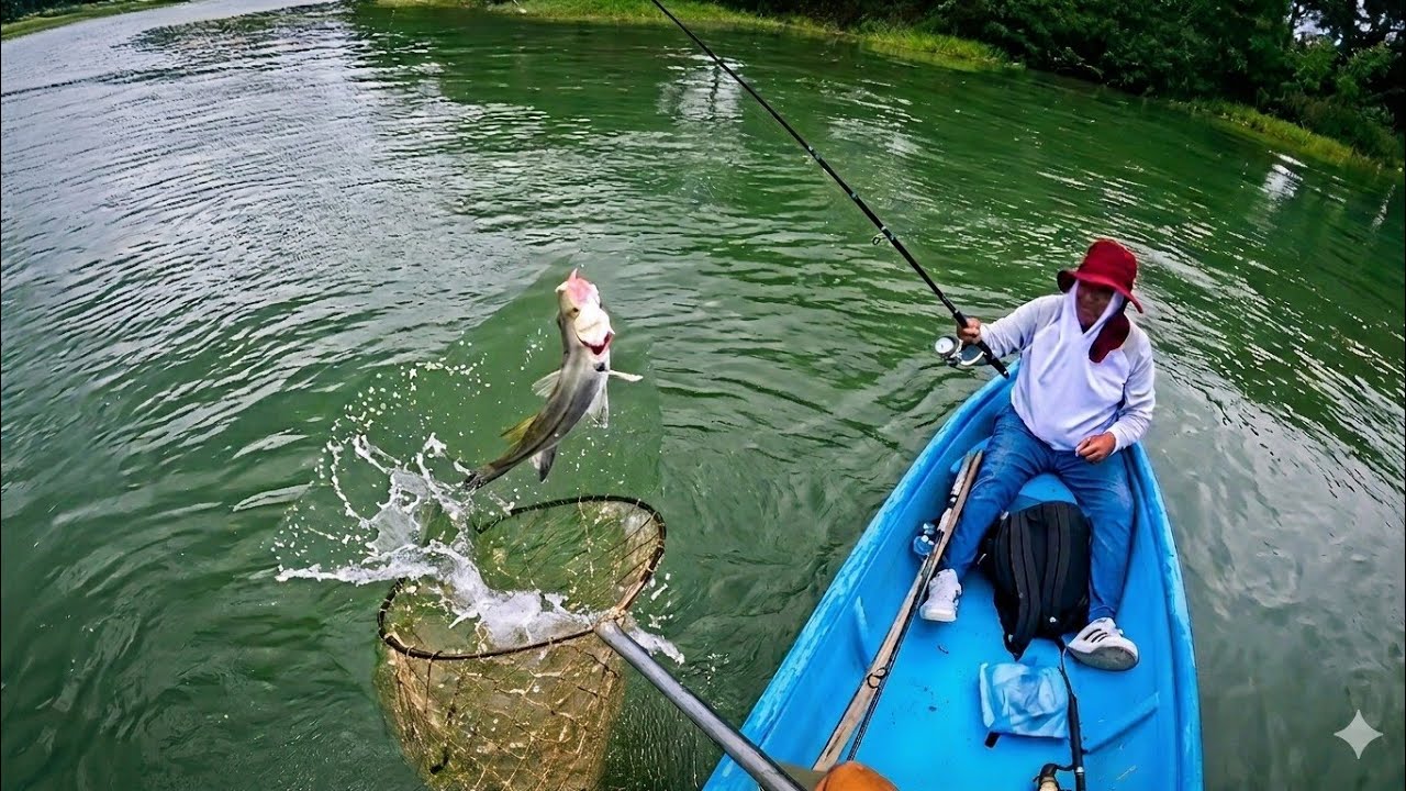 La pesca de robalos se puso intensa el salto más increíble que he grabado  