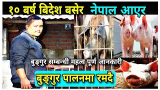 बिदेश बाट फर्केर बुङ्गुरपालनमा रमदै || Bungur Farm in nepal|Pig framing in Nepal|Bungur Palne tarika