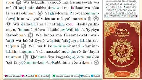 ختمة من مصحف التجويد باللغة الفرنسية الصفحة رقم 272