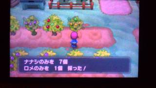ポケモンxy 木の実栽培突然変異 Youtube ポケモンxy 木の実栽培突然変異 Youtube