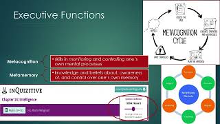Ch 15 4 Mind body problem