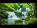 Calming music for nerves 🌿healing music for the heart and blood vessels,relaxation,music for soul #3