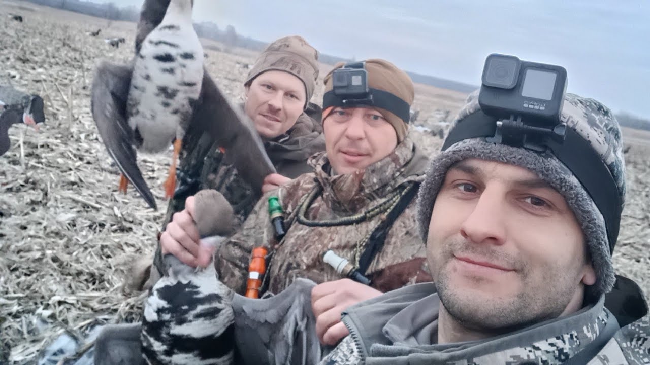 охота на гуся 2025   берем только филе