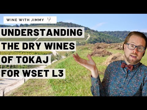 WSET Level 3 Tokaj Part 2 - The dry wines of Tokaj