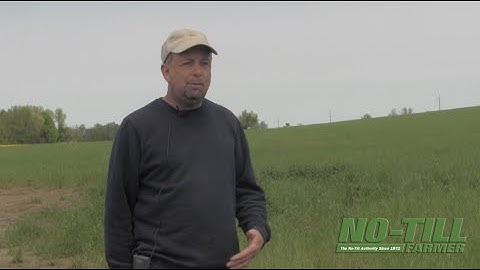 No-Till, Cover Crops Resolve Compaction