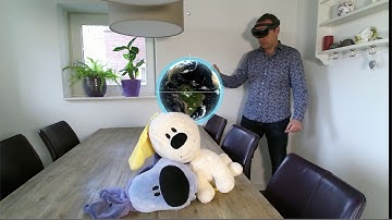 HoloLens 3D Spectator
