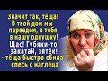 - Твой ДОМ мы ЗАБЕРЁМ, а тебя - в нашу однушку!» - заявил зять, но тёща быстро приземлила наглеца