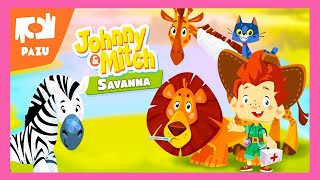 Safari Vet Care Games For Kids - ⭐ Zoo animals game for toddlers | iPad Gameplay⭐