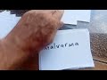 Esperanto 16 adjectives