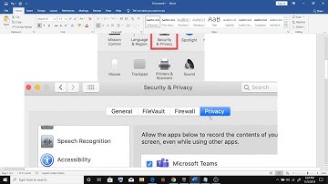 macOS Catalina  Unable To Share Screen, Microsoft Teams Screen Sharing Not Working After Catalina Up
