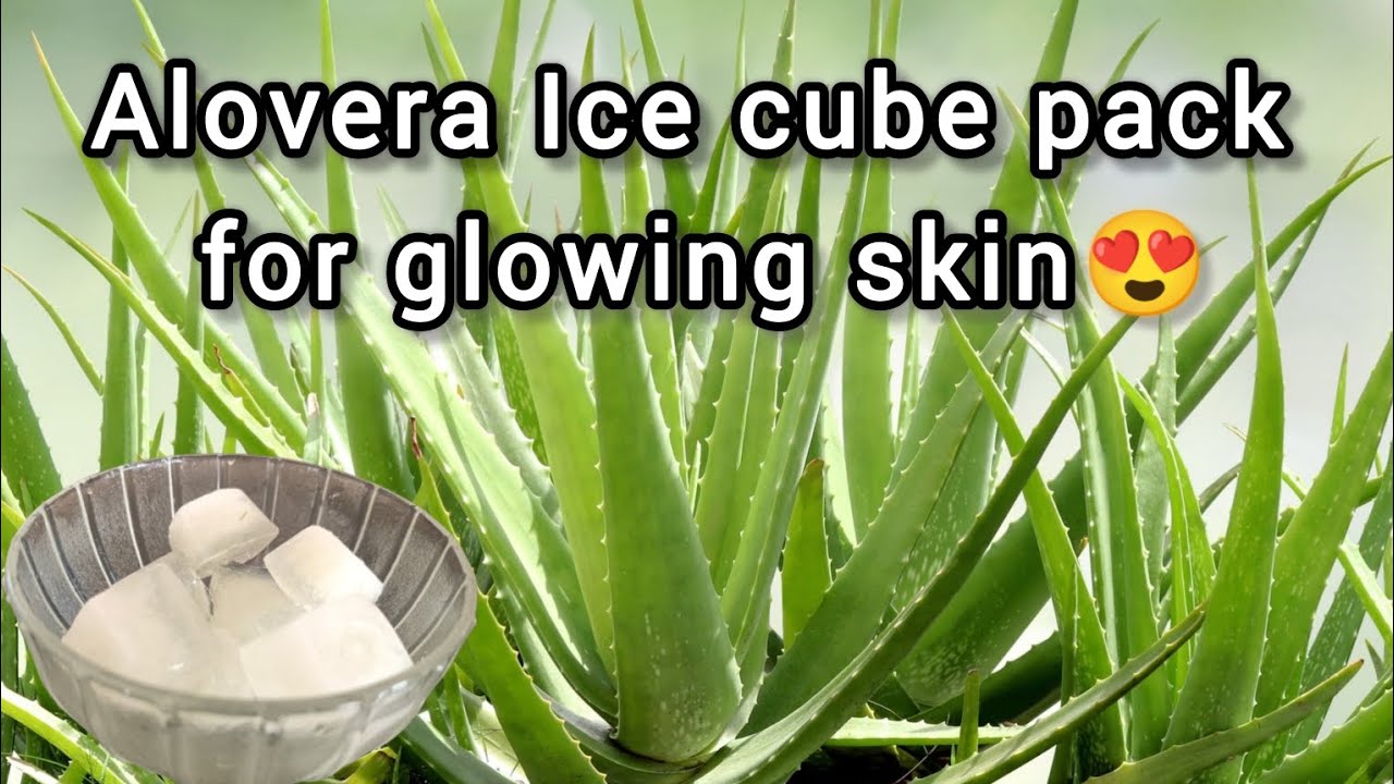 Alovera Ice Cube Pack for Glowing Skin😍💯Best Result👍|ALOVERA|ALOVERA GEL|SKIN CARE|ICECUBE PACK