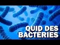 Le microbiote notre deuxime cerveau   quid