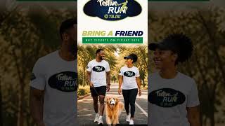 Festive Run tilisi  Sunday 31 May 2026