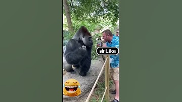 This guy got what he deserved #money #marvel #lifeisbutadream#monkey