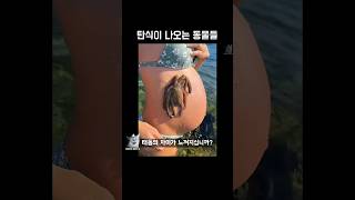 탄식이 나오는 동물들