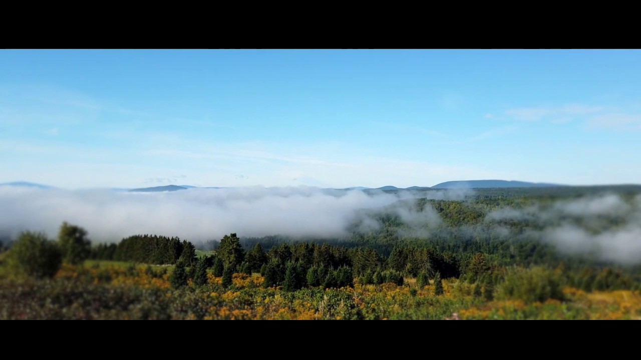 "Teaser" sentiers poétiques de St Venant YouTube