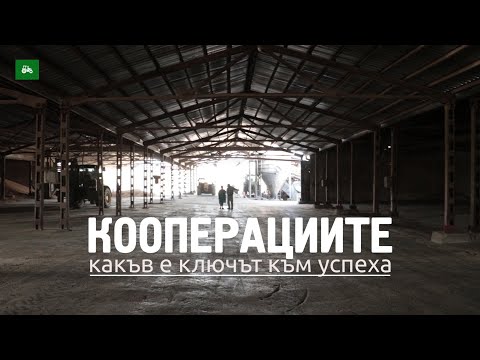 Видео: Ключът към успешното родителство