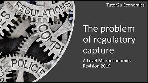 Regulatory Capture I A Level and IB Economics
