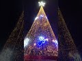 Christmas angel