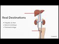 Class 10 Biology Chapter 3 | Blood Circulation Explained