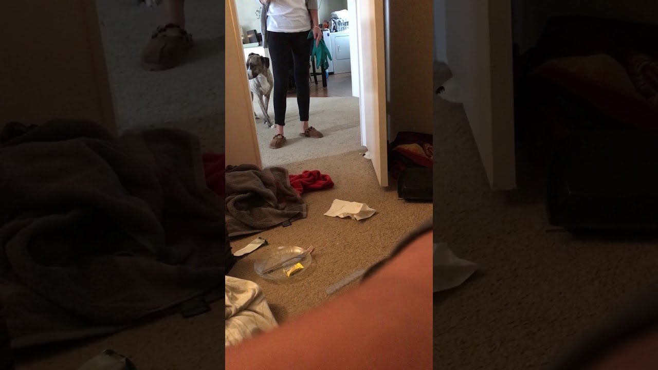 Baby mom flips out over a few pieces of candy. - YouTube