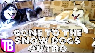 Gone to the Snow Dogs Outro Theme Song - TeraBrite