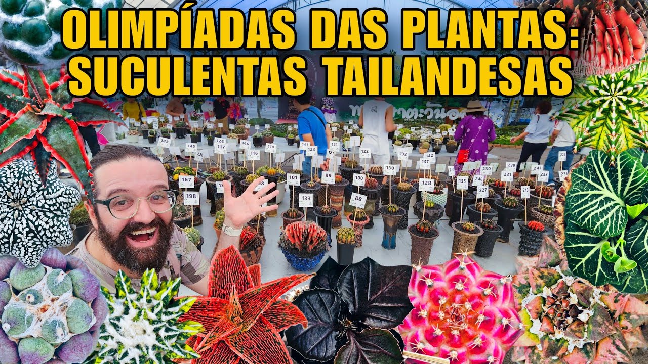 CACTOS ÉPICOS e SUCULENTAS além da IMAGINAÇÃO - Uma EXPLOSÃO na Tailândia - Olimpiada das Plantas