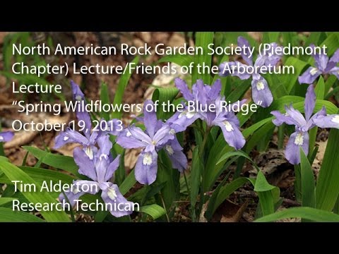 "Spring Wildflowers of the Blue Ridge" - NARGS (Piedmont Chapter) Lecture